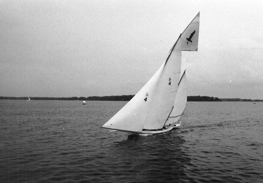 ISLAND BIRD (log canoe)